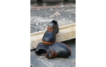 TALAN COMFORT S3+SRC munkavédelmi cipő