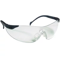 LUX OPTICAL STYLUX VÍZTISZTA MUNKAVÉDELMI SZEMÜVEG