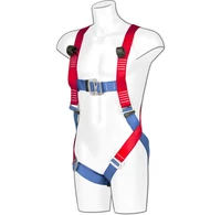 Portwest 2 pontos testheveder